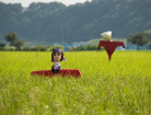 ｢案山子（かかし）｣ の由来