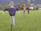 ｢早苗饗（さなぶり）｣ の由来